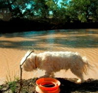 Charleville - 27 Mile Warrego River Fishing Spot - Tourism Gold Coast