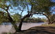 Charleville - 27 Mile Warrego River Fishing Spot - thumb 4