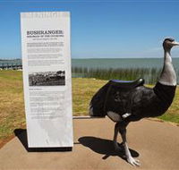 Birdman of the Coorong - Tourism Gold Coast
