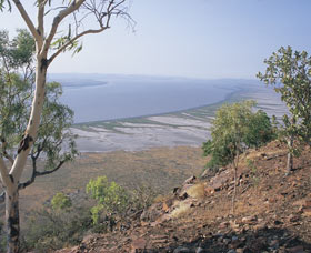 Cambridge Gulf - Tourism Gold Coast 0