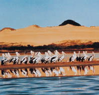 Coorong National Park - Tourism Gold Coast