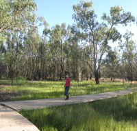 Ben Scott Memorial Bird Trail - Tourism Gold Coast