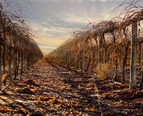 Andrew Peace Wines - Gold Coast 2