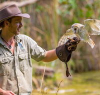 Territory Wildlife Park - Tourism Gold Coast