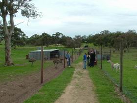 Avenue Range ACT Tourism Gold Coast