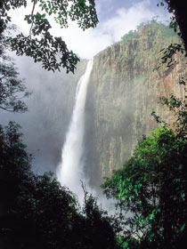 Wallaman Falls, Girringun National Park - Gold Coast 1
