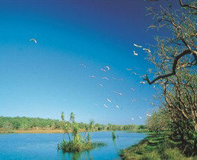 Nature's Way - Tourism Gold Coast 5