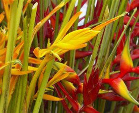Parap Markets - Tourism Gold Coast 1