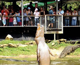Knuckey Lagoon NT Tourism Gold Coast