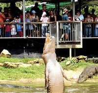 Crocodylus Park - Tourism Gold Coast