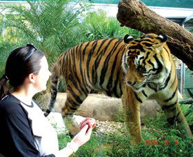 Crocodylus Park - Gold Coast 2