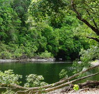 Broadwater Abergowrie State Forest - Gold Coast