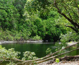 Broadwater, Abergowrie State Forest - Tourism Gold Coast 0