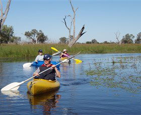Marsh Meanders - Tourism Gold Coast 0
