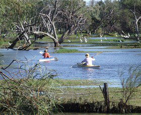 Marsh Meanders - Tourism Gold Coast 2