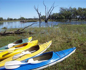 Marsh Meanders - Tourism Gold Coast 1