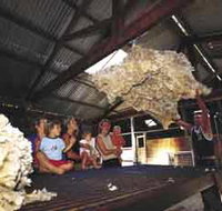 Shear Outback the Australian Shearers Hall of Fame - Tourism Gold Coast