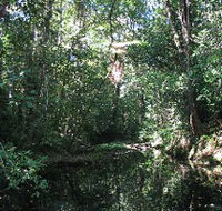 Misty Mountains Wilderness Walking Tracks - Gold Coast