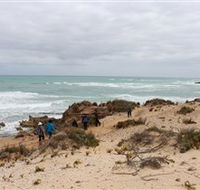 The Seaview Walking Trail - Tourism Gold Coast