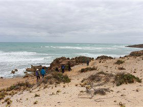 The Seaview Walking Trail - Tourism Gold Coast 0
