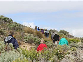 The Seaview Walking Trail - Tourism Gold Coast 2