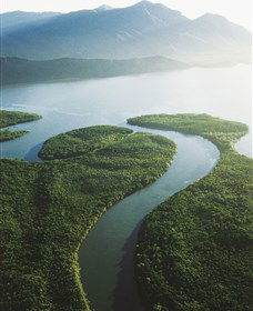 Fishing On Hinchinbrook Island - Tourism Gold Coast 0