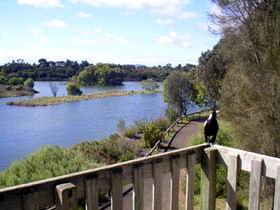 Lake McIntyre - Tourism Gold Coast 0