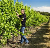 Patrick of Coonawarra - Tourism Gold Coast