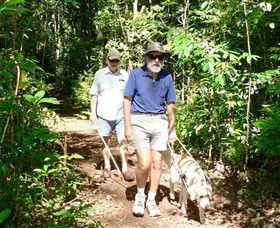Wongabel State Forest - Tourism Gold Coast 0