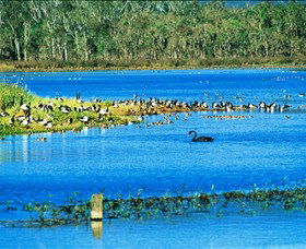 Hasties Swamp National Park - Tourism Gold Coast 0