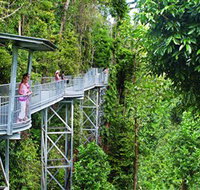 Mamu Tropical Skywalk - Tourism Gold Coast