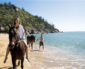 Horseshoe Bay - Tourism Gold Coast 1