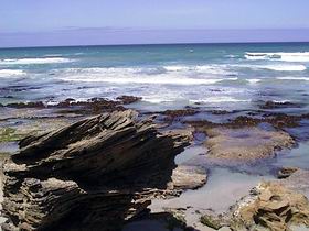 Canunda National Park - Tourism Gold Coast 1