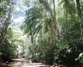 Mount Lewis National Park - Gold Coast 0