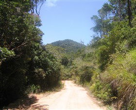 Mount Lewis National Park - Gold Coast 2