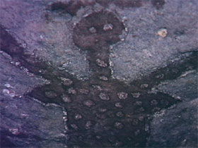 Quinkan Reserves Ancient Rock Art - Gold Coast 0