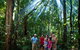 Mossman Gorge Centre - thumb 3