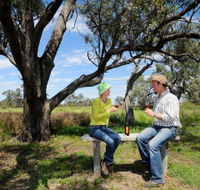 Restdown Wines and Walking Trail - Tourism Gold Coast