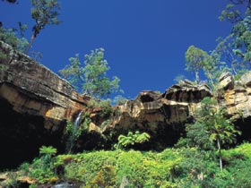 Blackdown Tableland National Park - Tourism Gold Coast 1