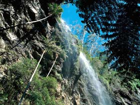 Blackdown Tableland National Park - Tourism Gold Coast 2