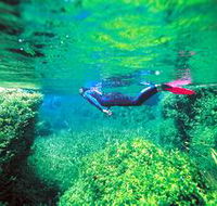 Piccaninnie Ponds Conservation Park - Tourism Gold Coast