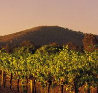 Taltarni Vineyards - Tourism Gold Coast