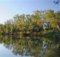 iWaterSki - Tourism Gold Coast