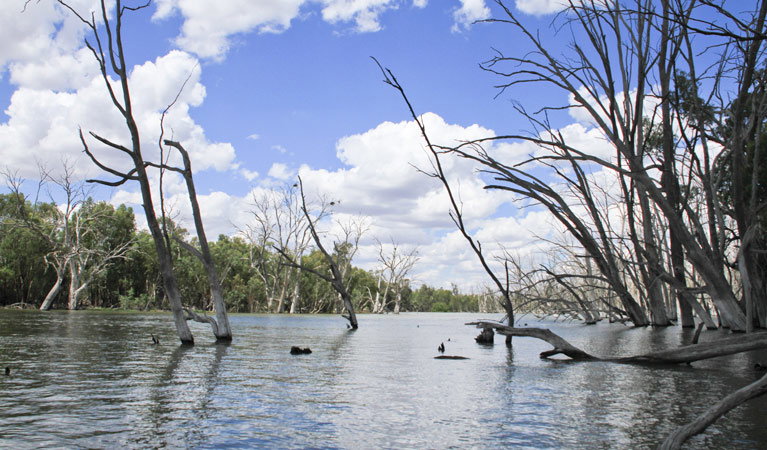 Euroley NSW Tourism Gold Coast