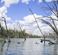 Murrumbidgee Valley National Park - Tourism Gold Coast