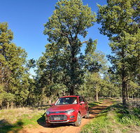 Forest drive - Tourism Gold Coast