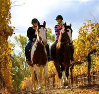 Billabong Ranch - Tourism Gold Coast