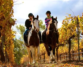 Billabong Ranch - Tourism Gold Coast 0