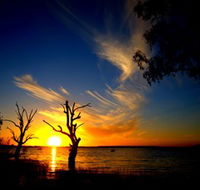 Lake Cowal - Tourism Gold Coast