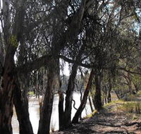Mia Forest Drives Narrandera - Tourism Gold Coast